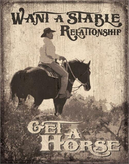 STABLE RELATIONSHIP TIN SIGN METAL ART WESTERN HOME DECOR CRAFT