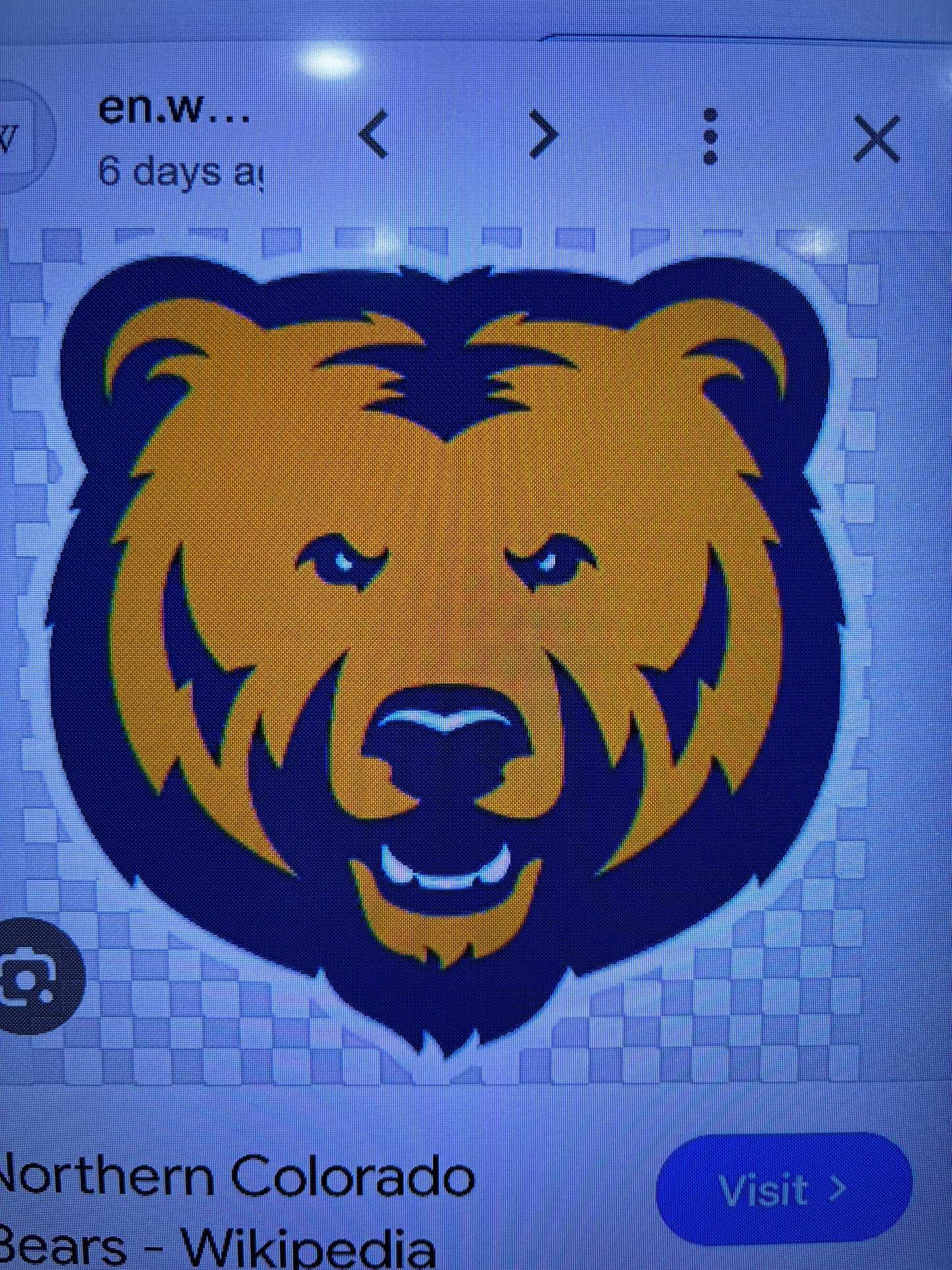 UNC BEARS CUSTOM RAW METAL NO PAINT VINTAGE CRAFT SIGN TEAM HANDMADE TO ORDER