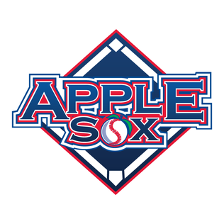 APPLE SOX BASEBALL CUSTOM METAL VINTAGE CRAFT SIGN TEAM NAVY BLUE WHITE RED HANDMADE