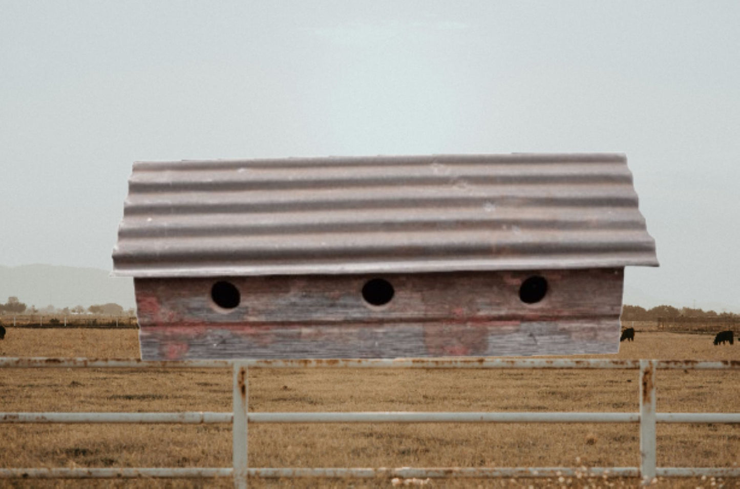 3 HOLE BIRDHOUSE 24"L BARN WOOD WESTERN HOME DECOR HANDMADE #EH13535