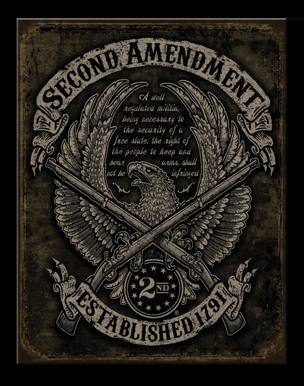 2ND_AMEND EAGLE SIGN METAL ART WESTERN HOME DECOR CRAFT #2788- FREE SHIPPING