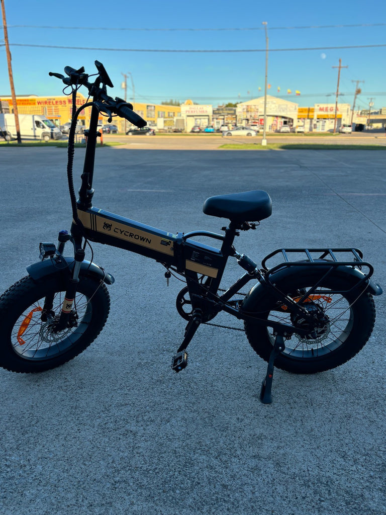 ELECTRIC BIKE  WESTERN CUSTOM BIKE & SCOOTERS NEW USA SELLER