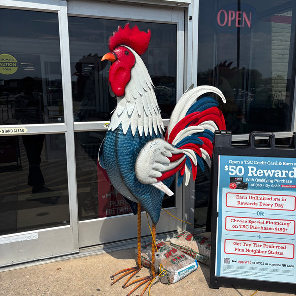 PATRIOTIC ROOSTER 6 FOOT CHICKEN GARDEN ANIMAL SCULPTURE METAL DECOR HANDMADE