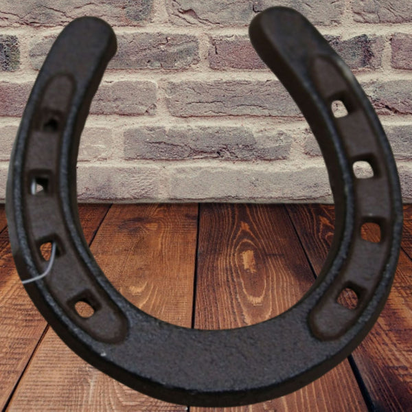 3.5" HORSE SHOE CAST IRON METAL WALL ART METAL WESTERN HOME DECOR NEW #EH13167