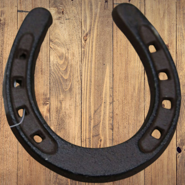 3.5" HORSE SHOE CAST IRON METAL WALL ART METAL WESTERN HOME DECOR NEW #EH13167