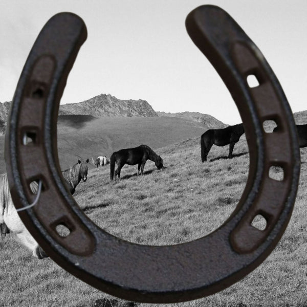 3.5" HORSE SHOE CAST IRON METAL WALL ART METAL WESTERN HOME DECOR NEW #EH13167