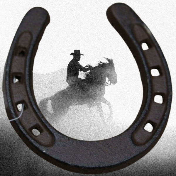 3.5" HORSE SHOE CAST IRON METAL WALL ART METAL WESTERN HOME DECOR NEW #EH13167