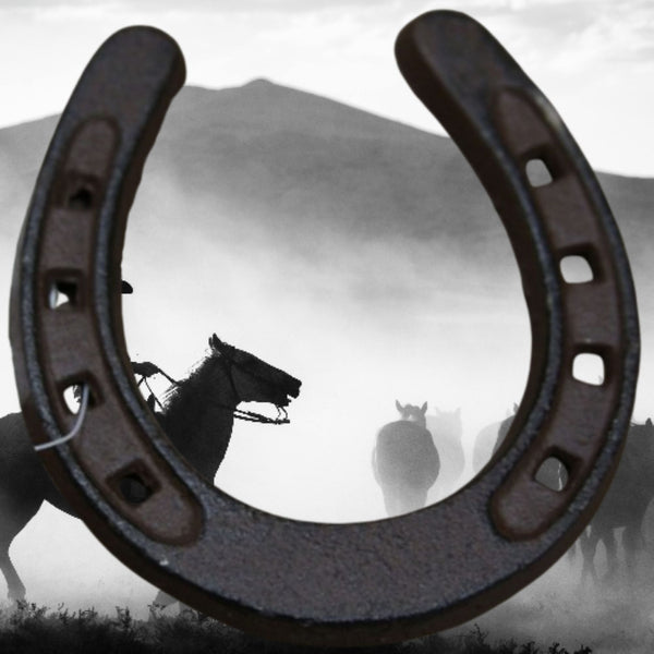 3.5" HORSE SHOE CAST IRON METAL WALL ART METAL WESTERN HOME DECOR NEW #EH13167