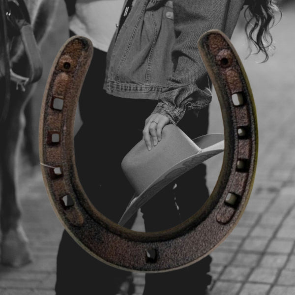 7" HORSE SHOE CAST IRON METAL WALL ART METAL WESTERN HOME DECOR NEW #EH13168