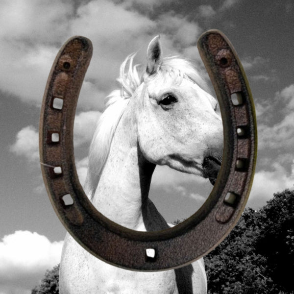 7" HORSE SHOE CAST IRON METAL WALL ART METAL WESTERN HOME DECOR NEW #EH13168