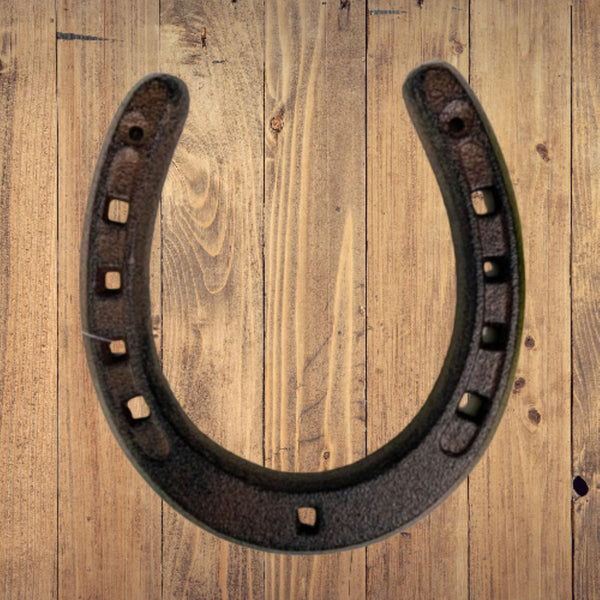 7" HORSE SHOE CAST IRON METAL WALL ART METAL WESTERN HOME DECOR NEW #EH13168
