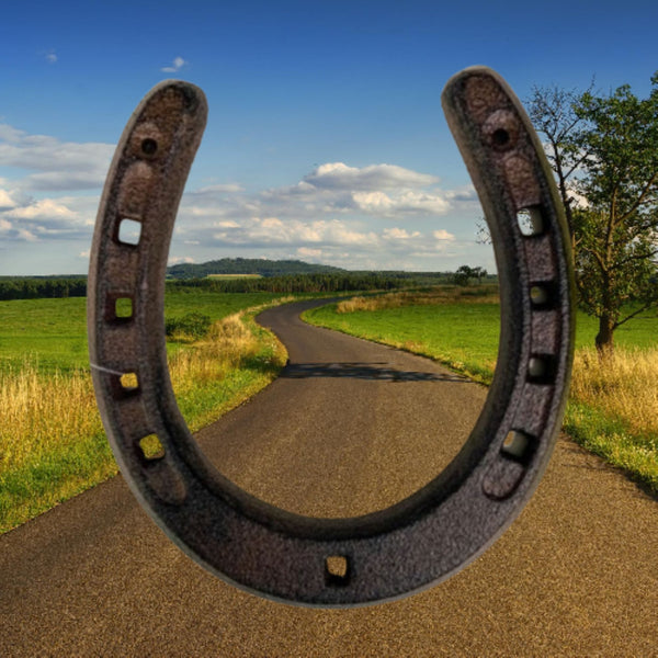 7" HORSE SHOE CAST IRON METAL WALL ART METAL WESTERN HOME DECOR NEW #EH13168