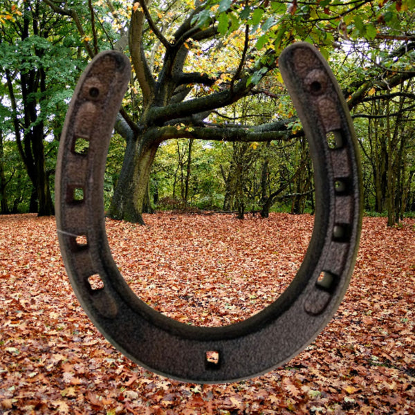 7" HORSE SHOE CAST IRON METAL WALL ART METAL WESTERN HOME DECOR NEW #EH13168