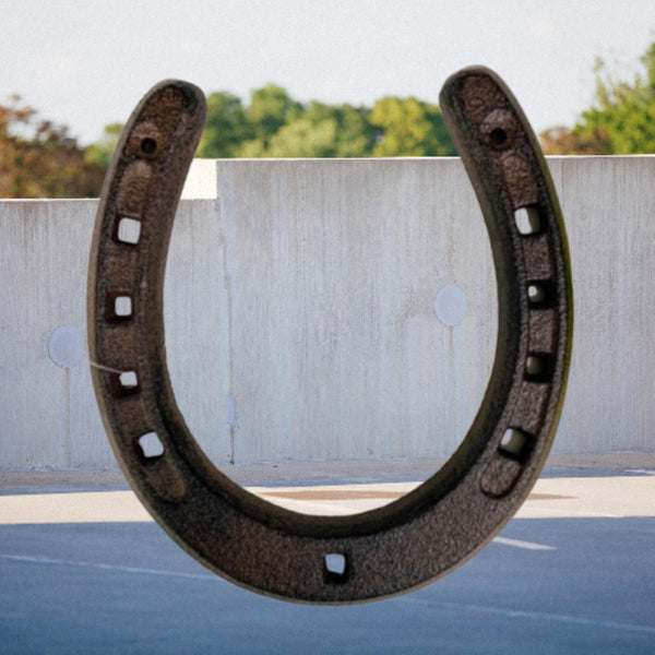 7" HORSE SHOE CAST IRON METAL WALL ART METAL WESTERN HOME DECOR NEW #EH13168