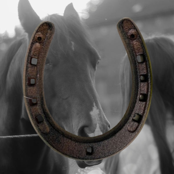 7" HORSE SHOE CAST IRON METAL WALL ART METAL WESTERN HOME DECOR NEW #EH13168