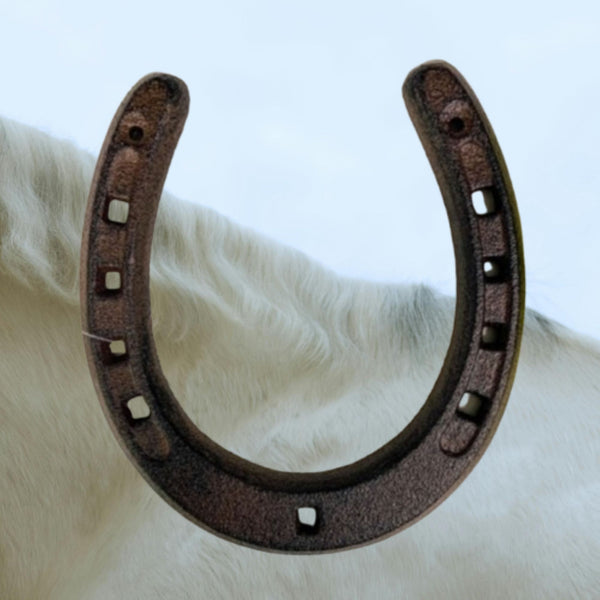 7" HORSE SHOE CAST IRON METAL WALL ART METAL WESTERN HOME DECOR NEW #EH13168