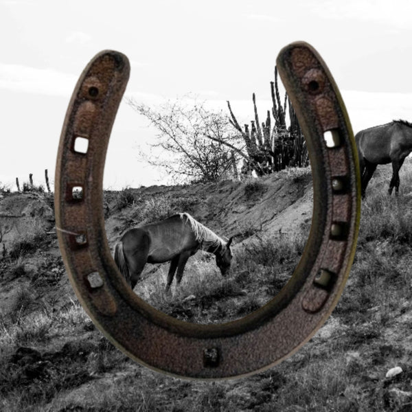 7" HORSE SHOE CAST IRON METAL WALL ART METAL WESTERN HOME DECOR NEW #EH13168