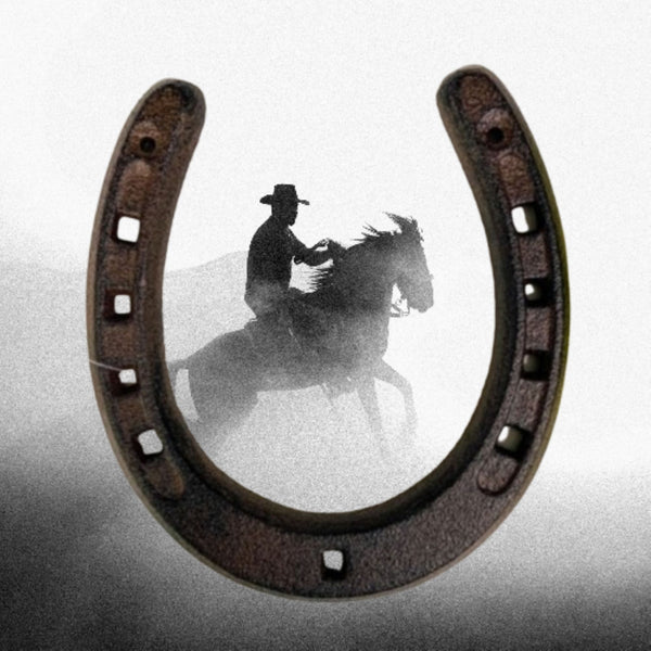 7" HORSE SHOE CAST IRON METAL WALL ART METAL WESTERN HOME DECOR NEW #EH13168
