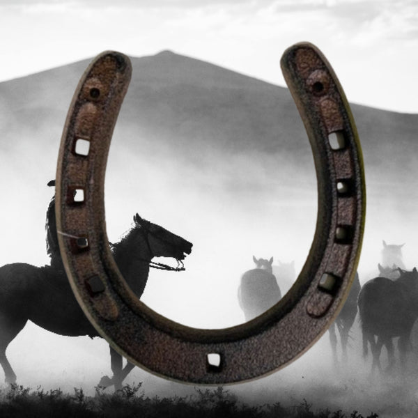 7" HORSE SHOE CAST IRON METAL WALL ART METAL WESTERN HOME DECOR NEW #EH13168