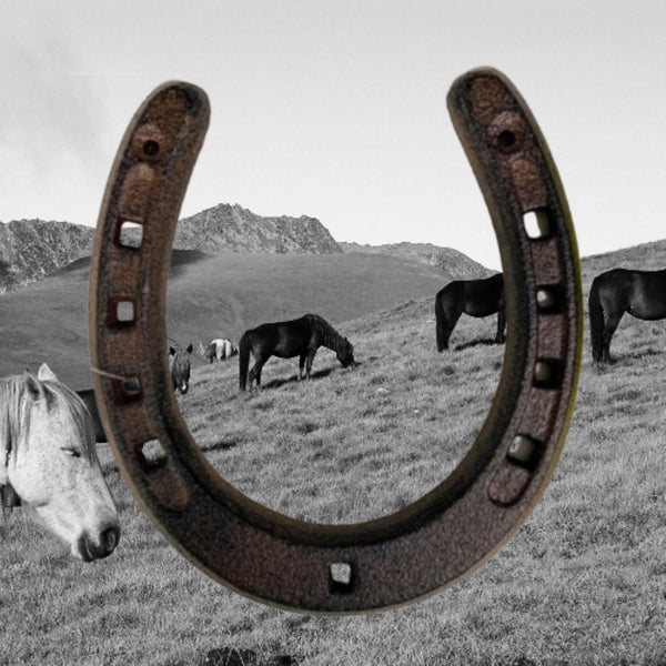 7" HORSE SHOE CAST IRON METAL WALL ART METAL WESTERN HOME DECOR NEW #EH13168