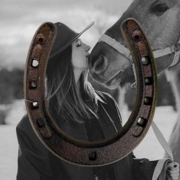 7" HORSE SHOE CAST IRON METAL WALL ART METAL WESTERN HOME DECOR NEW #EH13168