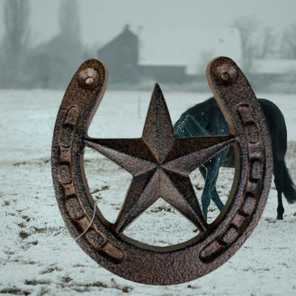 HORSE SHOE STAR 5.25" CAST IRON METAL WALL ART METAL WESTERN HOME DECOR NEW #EH13169
