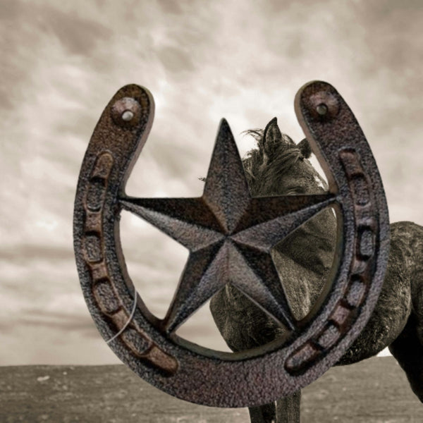 HORSE SHOE STAR 5.25" CAST IRON METAL WALL ART METAL WESTERN HOME DECOR NEW #EH13169