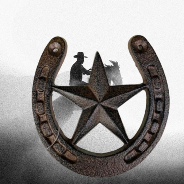 HORSE SHOE STAR 5.25" CAST IRON METAL WALL ART METAL WESTERN HOME DECOR NEW #EH13169