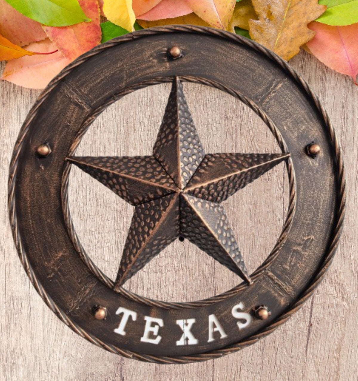 TEXAS STAR SIGN 18" WIDE BAND DISC 3d TWISTED RING WESTERN HOME DECOR HANDMADE #EH13978