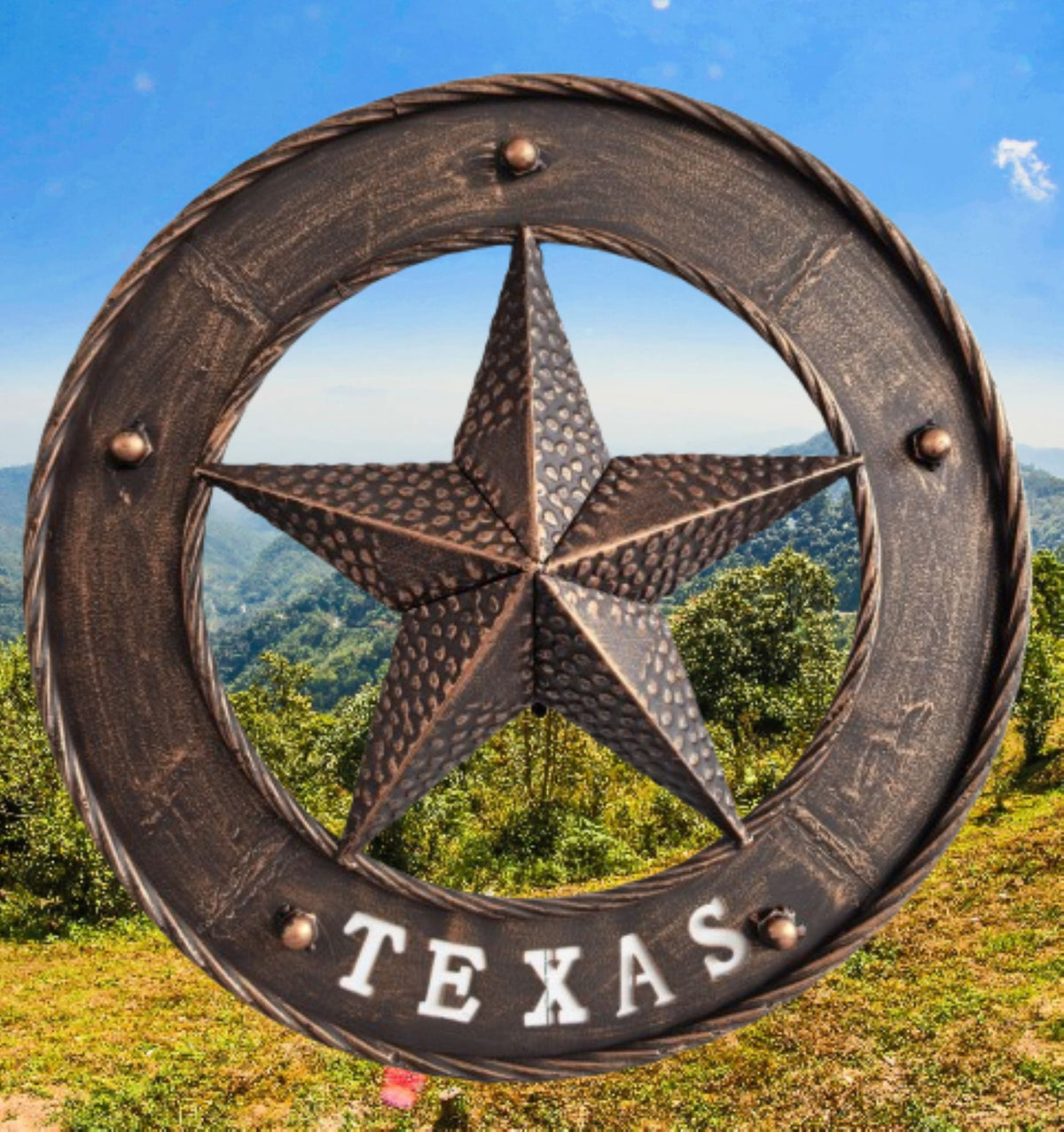 TEXAS STAR SIGN 18" WIDE BAND DISC 3d TWISTED RING WESTERN HOME DECOR HANDMADE #EH13978