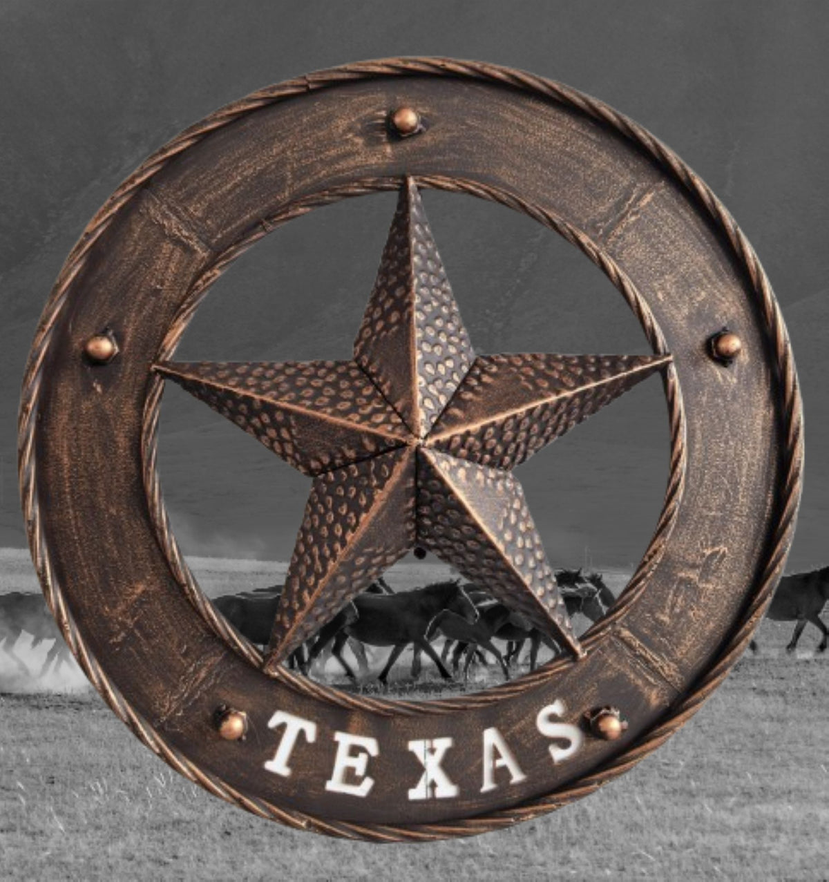 TEXAS STAR SIGN 18" WIDE BAND DISC 3d TWISTED RING WESTERN HOME DECOR HANDMADE #EH13978