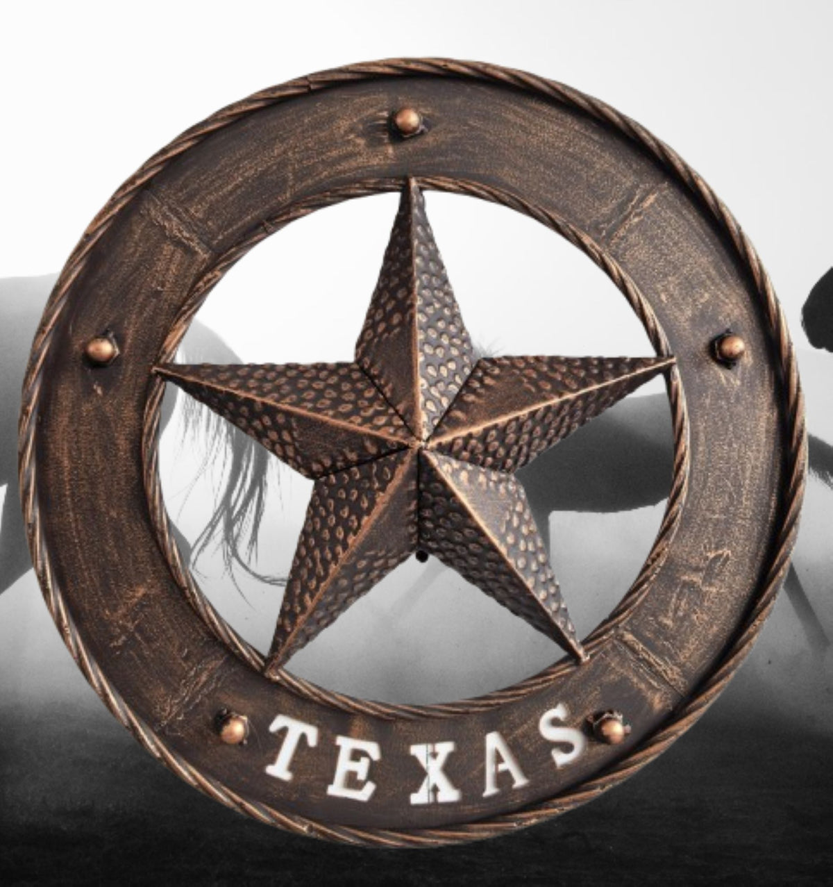 TEXAS STAR SIGN 18" WIDE BAND DISC 3d TWISTED RING WESTERN HOME DECOR HANDMADE #EH13978