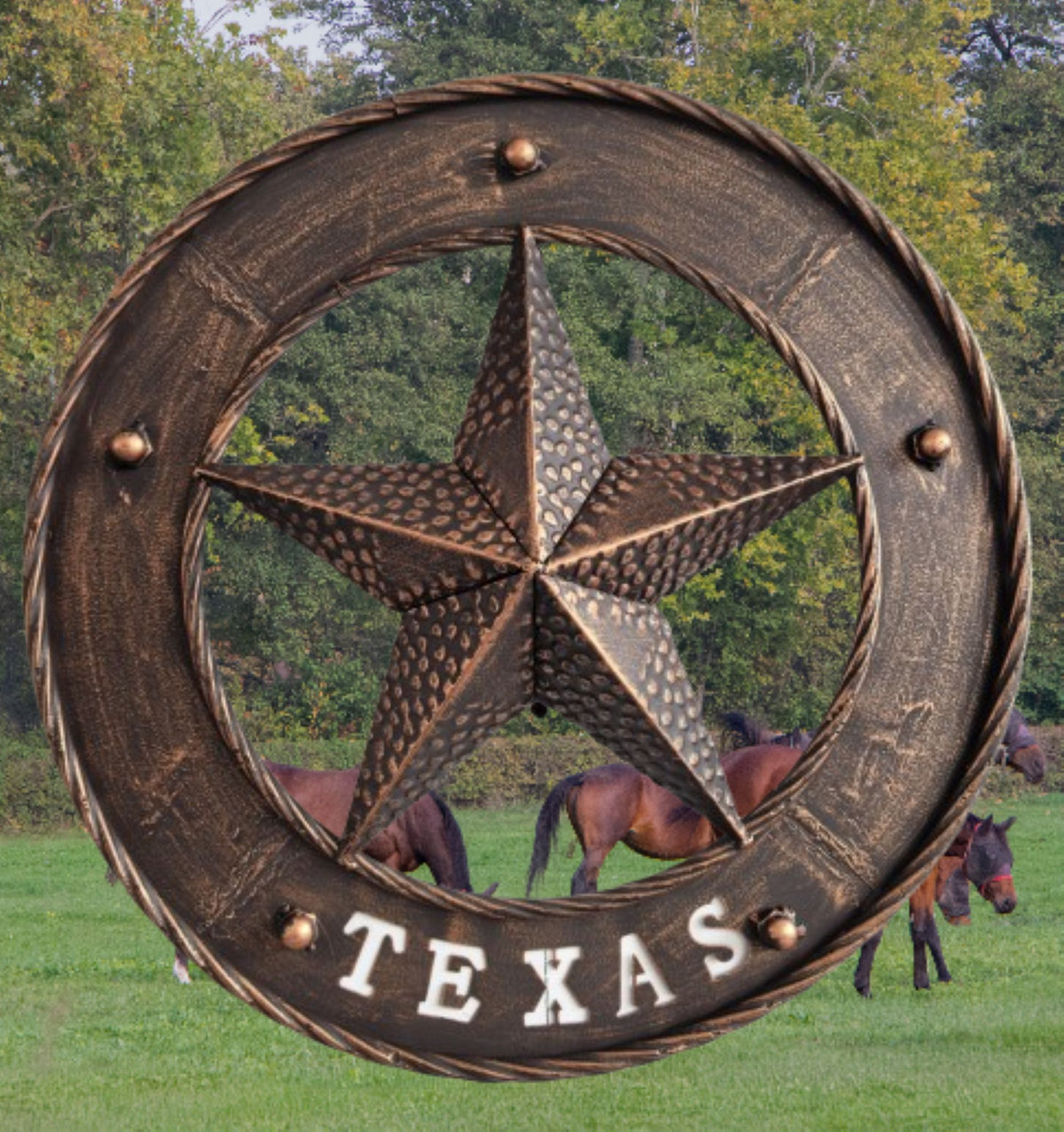 TEXAS STAR SIGN 18" WIDE BAND DISC 3d TWISTED RING WESTERN HOME DECOR HANDMADE #EH13978