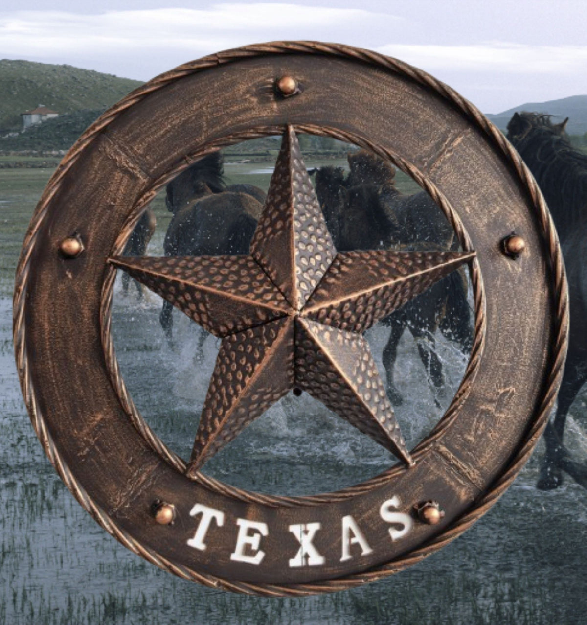 TEXAS STAR SIGN 18" WIDE BAND DISC 3d TWISTED RING WESTERN HOME DECOR HANDMADE #EH13978