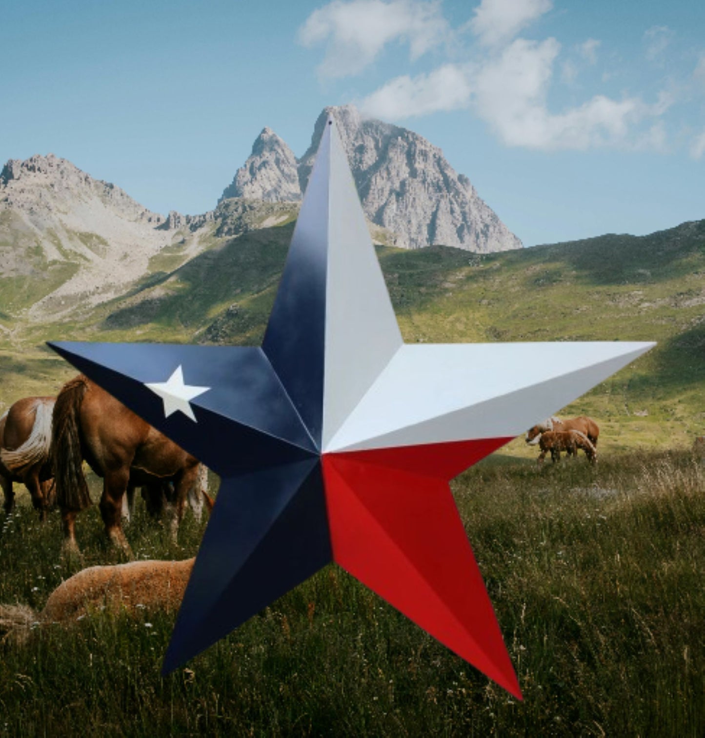 TEXAS FLAG STAR RED WHITE NAVY BLUE 3D PATRIOTIC STAR WESTERN HOME DECOR HANDMADE 12",24",36" #EH12940