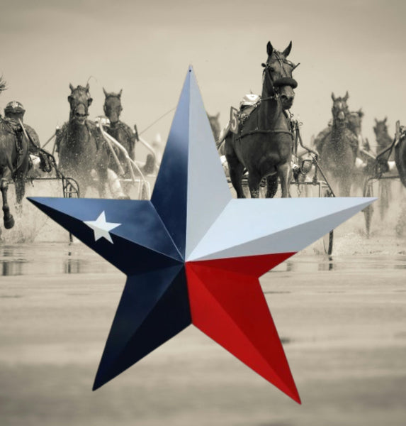 TEXAS FLAG STAR RED WHITE NAVY BLUE 3D PATRIOTIC STAR WESTERN HOME DECOR HANDMADE 12",24",36" #EH12940