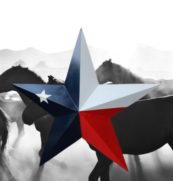 TEXAS FLAG STAR RED WHITE NAVY BLUE 3D PATRIOTIC STAR WESTERN HOME DECOR HANDMADE 12",24",36" #EH12940